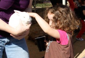 petthebunny