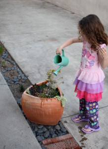 hkcontainergardening