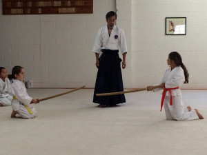 bokken